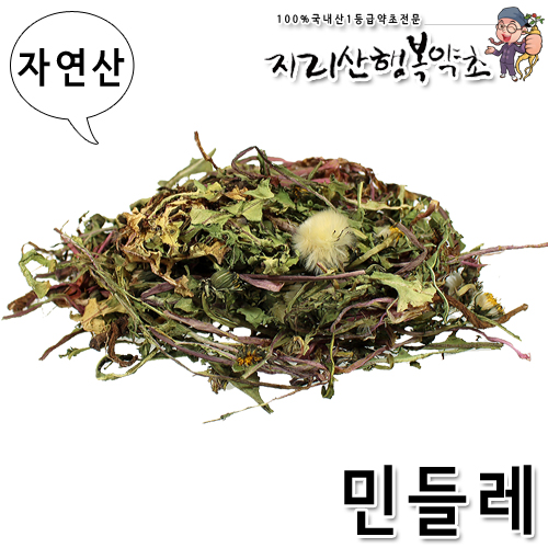 자연산 민들레/포공영(뿌리포함) 300g