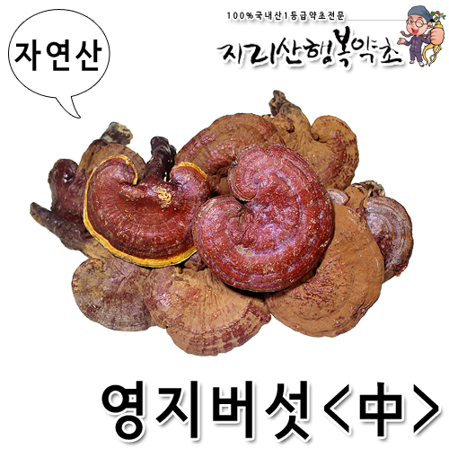 자연산 영지버섯(中) 300g