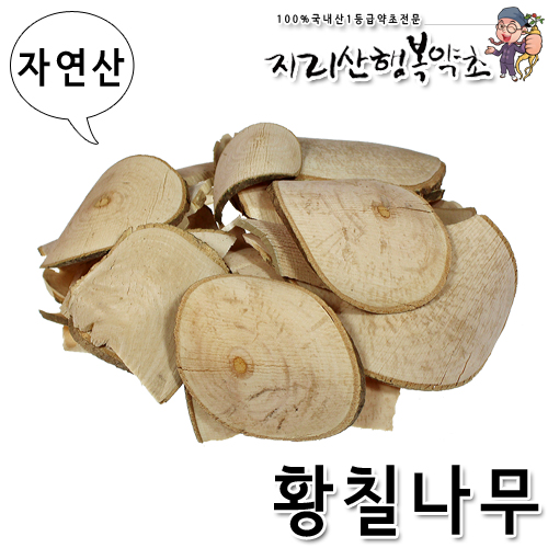황칠나무효능/황칠나무차/자연산 황칠나무(절편) 500g