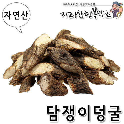 자연산 담쟁이덩굴/석벽려/송담 500g