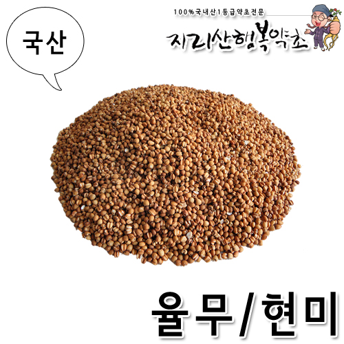 국산 율무/현미/의이인(피) 500g (볶음)
