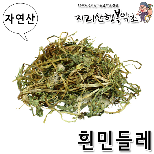 자연산 흰민들레/포공영(뿌리포함) 300g