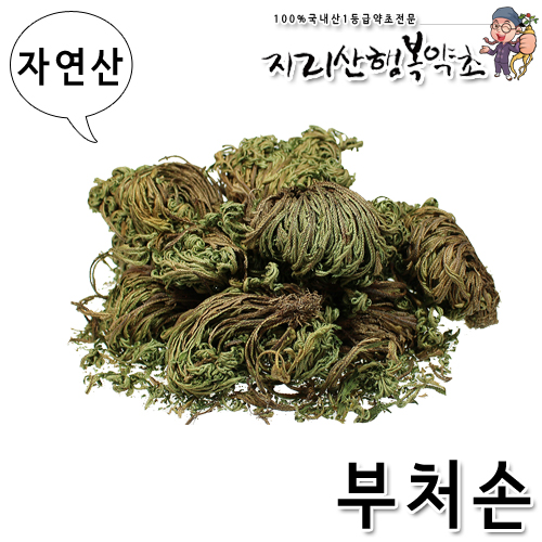 자연산 부처손/권백 500g